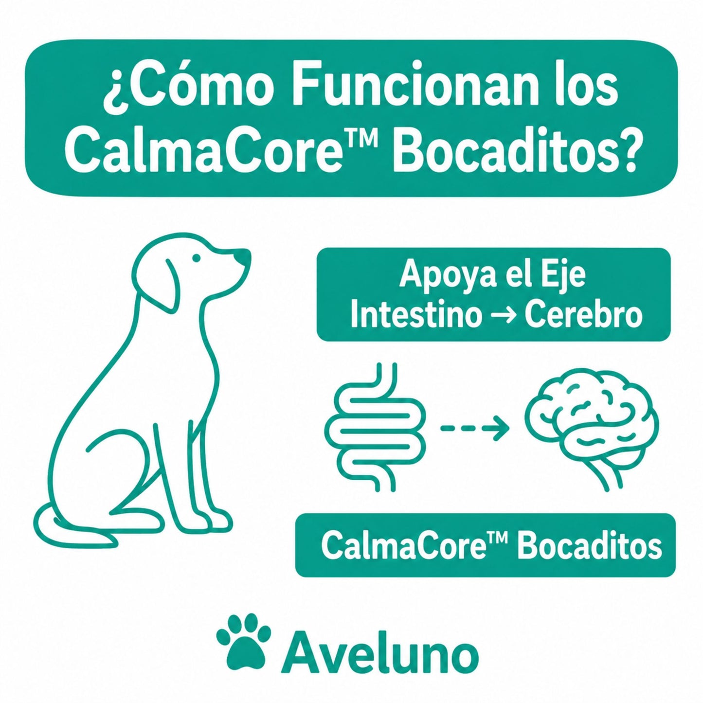 CalmaCore™ Bocaditos - Aveluno