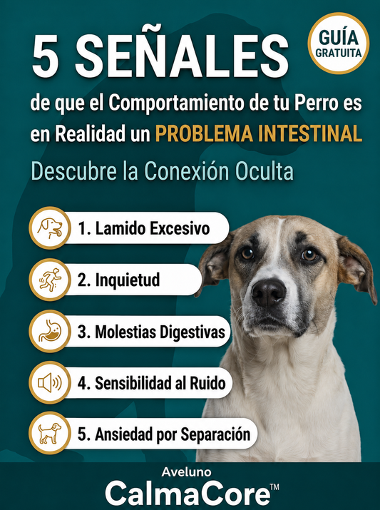 EBOOK